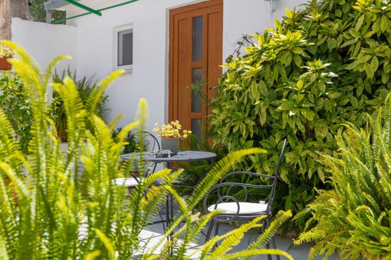 Apartments Jelena Supetar - Four Apartments - A Small House With A Private Yard - Two-Room Apartment With A Sea View - Studio Apartment - Two-Room Apartment With Garden View- Free Parking Екстериор снимка